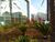 Apartamento, 3 quartos, 93 m² - Foto 1