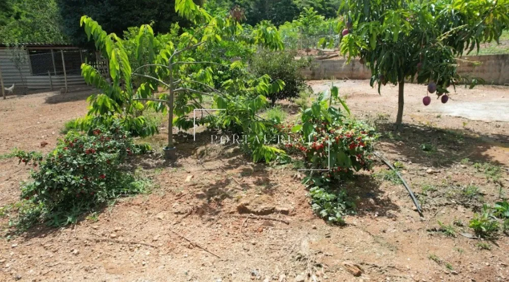 Sítio, 3 quartos, 24 hectares - Foto 9