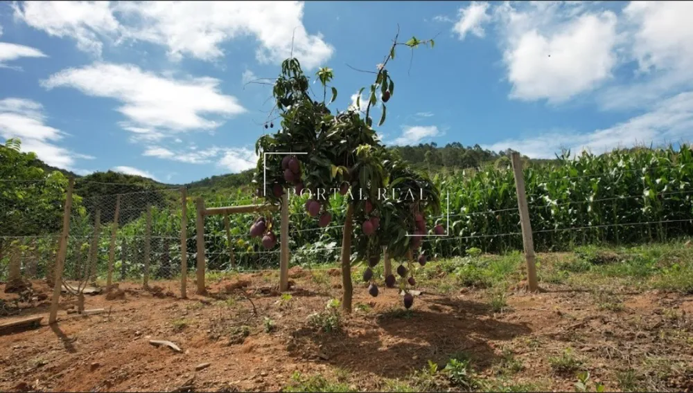 Sítio, 3 quartos, 24 hectares - Foto 10