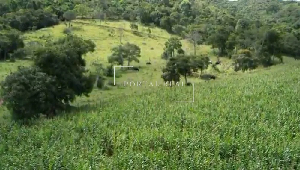 Sítio, 3 quartos, 24 hectares - Foto 4