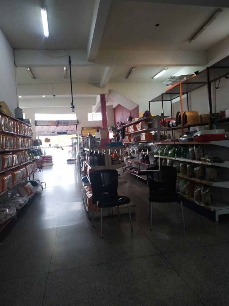 Loja-Salão, 331 m² - Foto 6