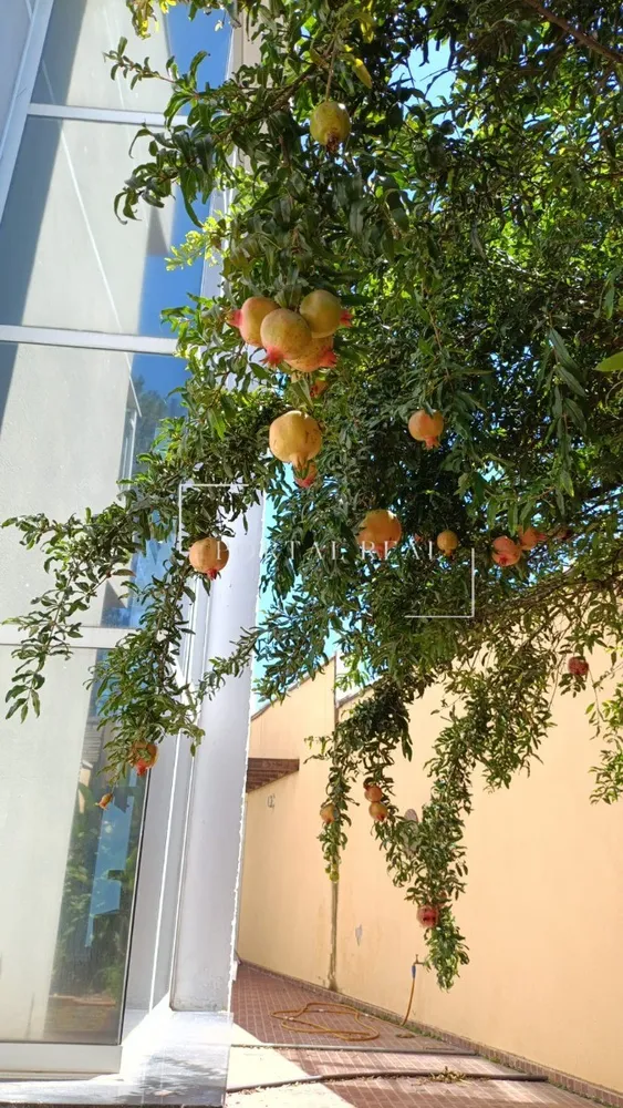 Casa, 4 quartos, 300 m² - Foto 11