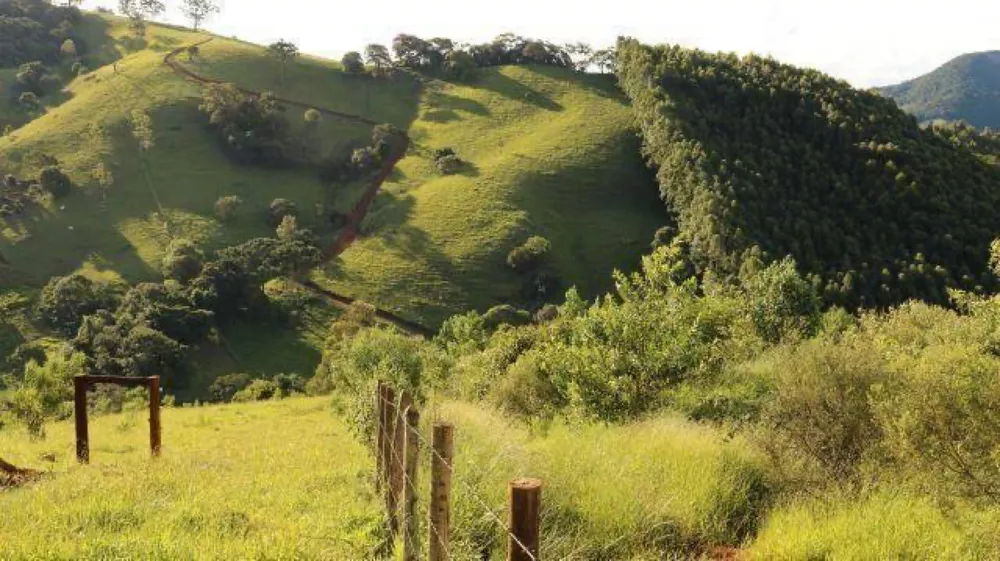 Terreno à venda - Foto 5