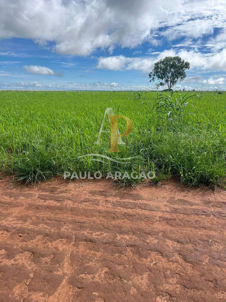 Fazenda - Foto 6