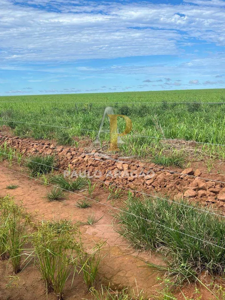 Fazenda - Foto 8