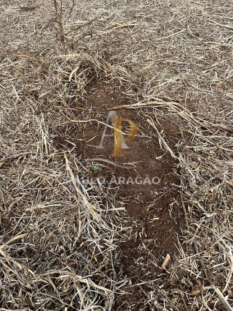 Fazenda - Foto 9