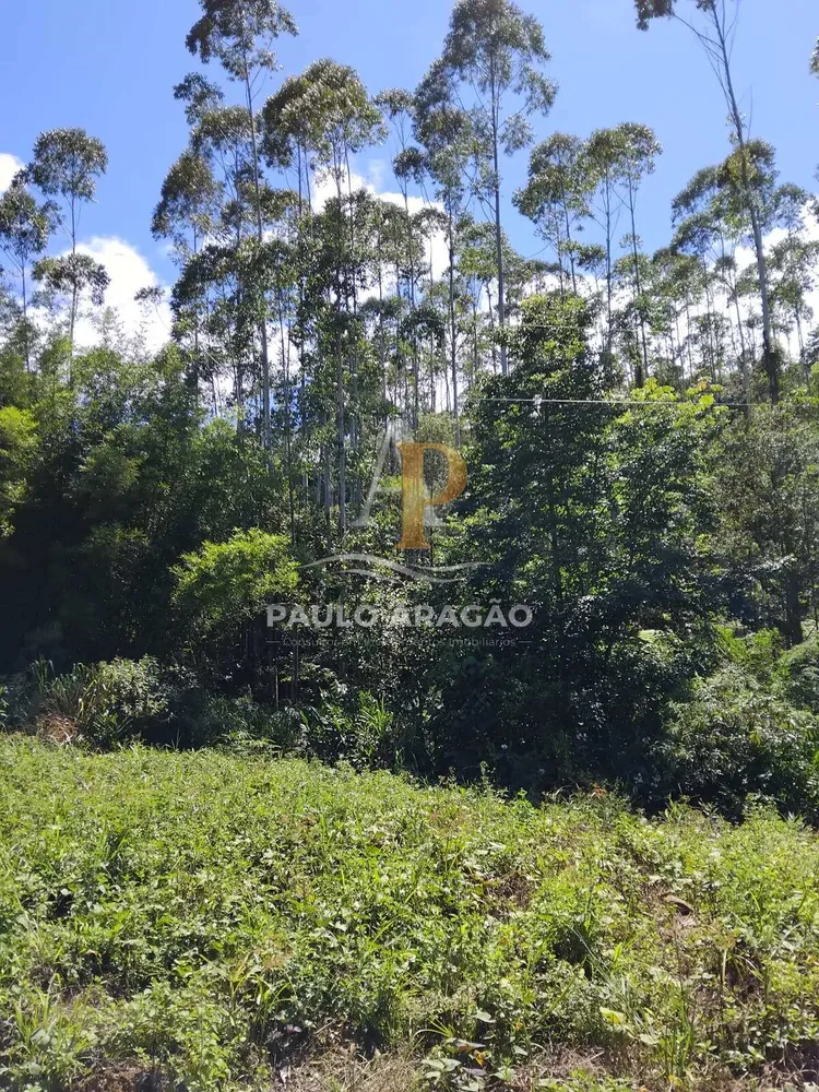 Sítio, 2 quartos, 465 m² - Foto 9