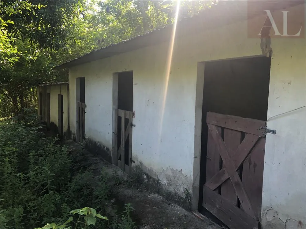 Casa, 3 quartos, 420 m² - Foto 4