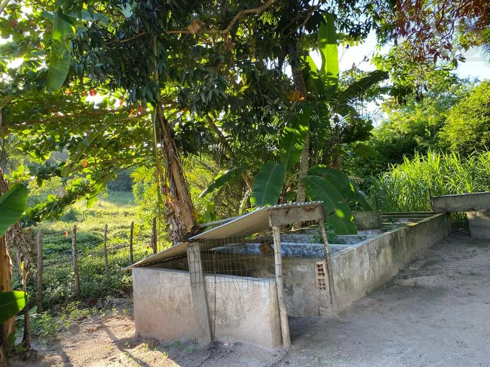 Casa, 3 quartos, 420 m² - Foto 3