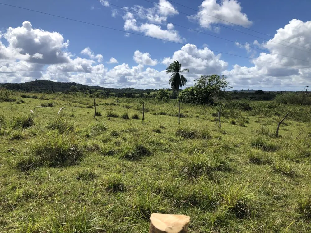 Terreno, 2500 m² - Foto 4