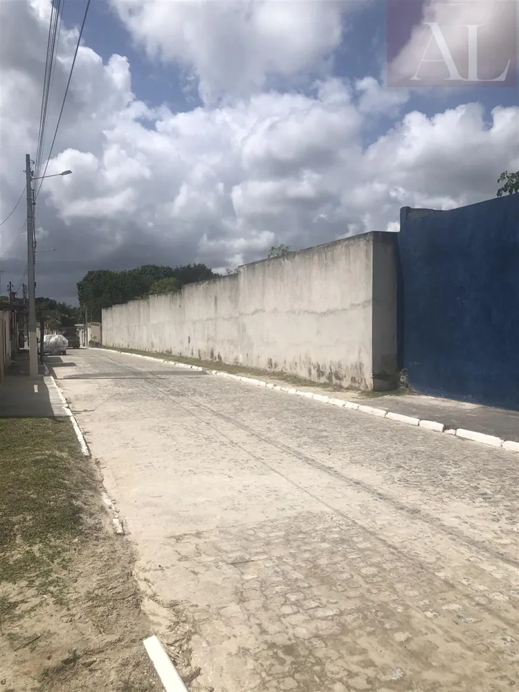Terreno, 2 hectares - Foto 4