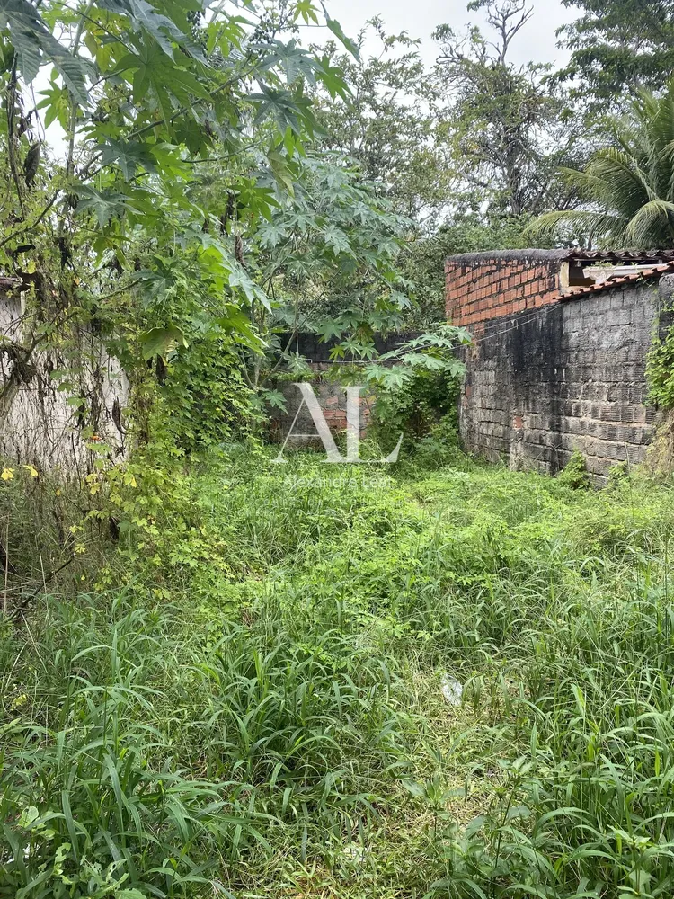 Casa, 3 quartos, 200 m² - Foto 4