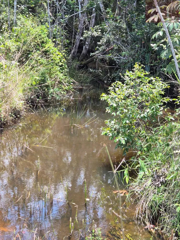 Terreno, 13 hectares - Foto 4