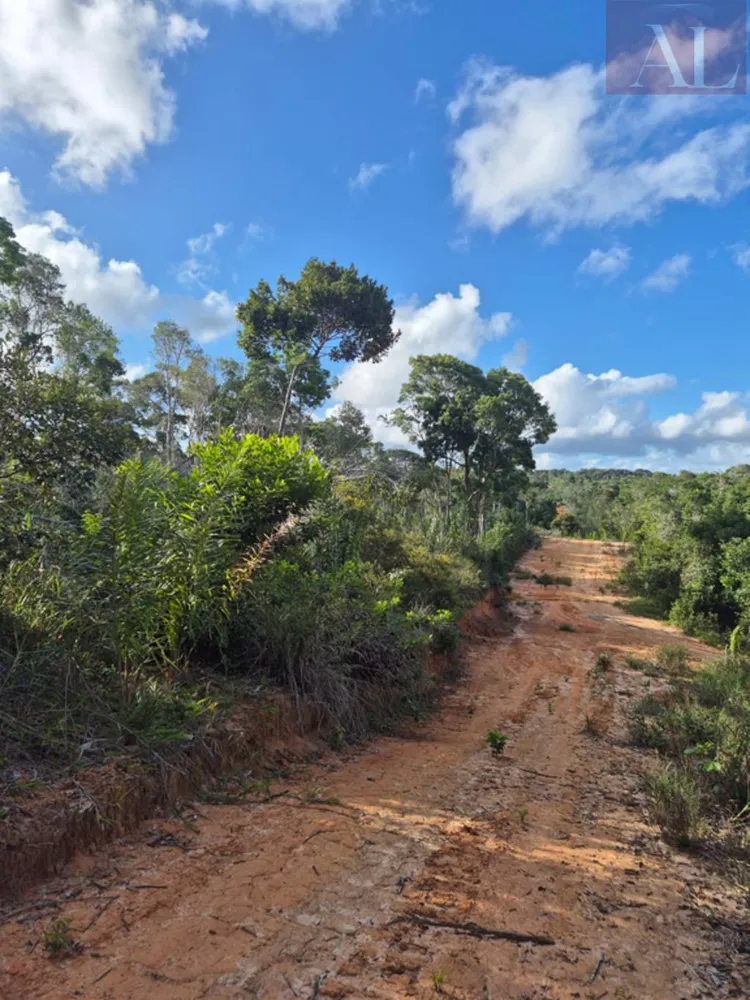 Terreno, 13 hectares - Foto 1