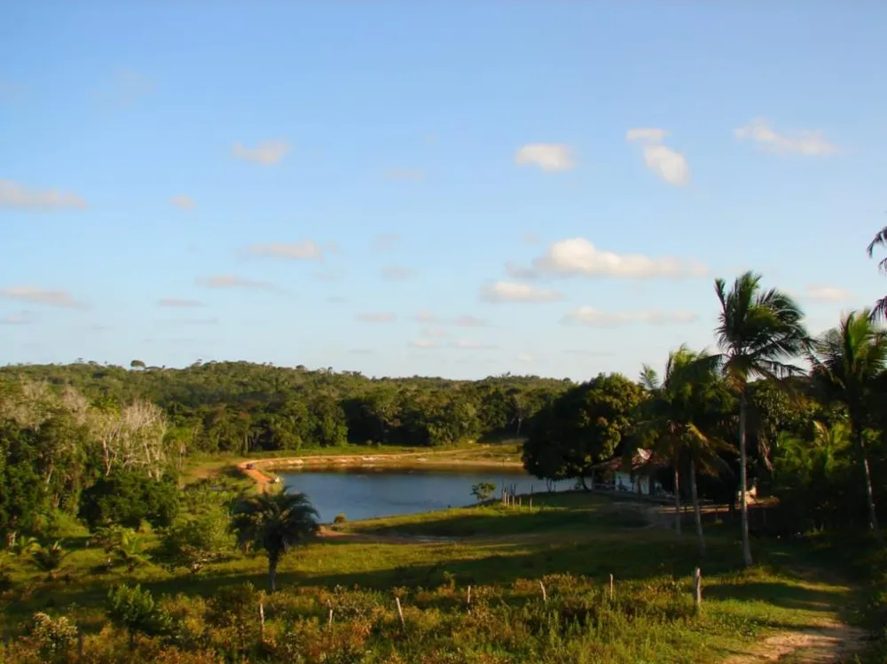 Casa - Foto 2