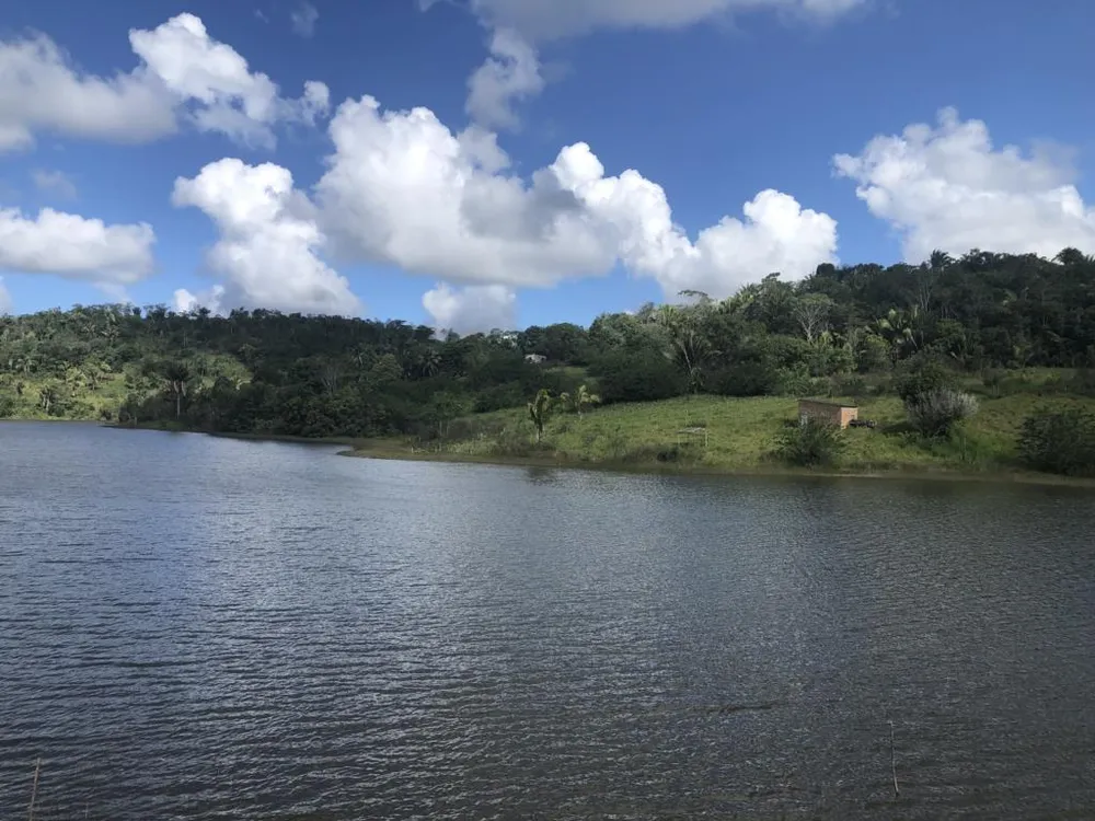 Terreno - Foto 4