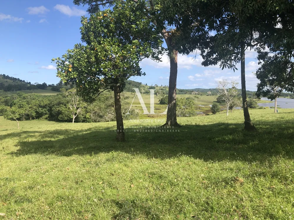 Fazenda - Foto 4