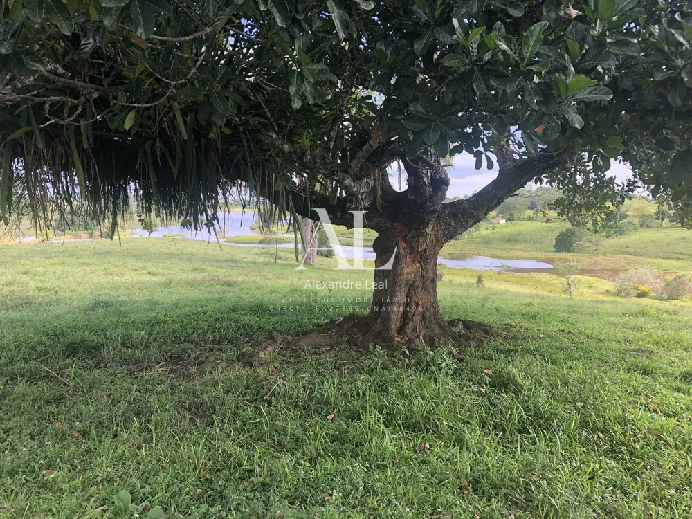 Fazenda - Foto 3