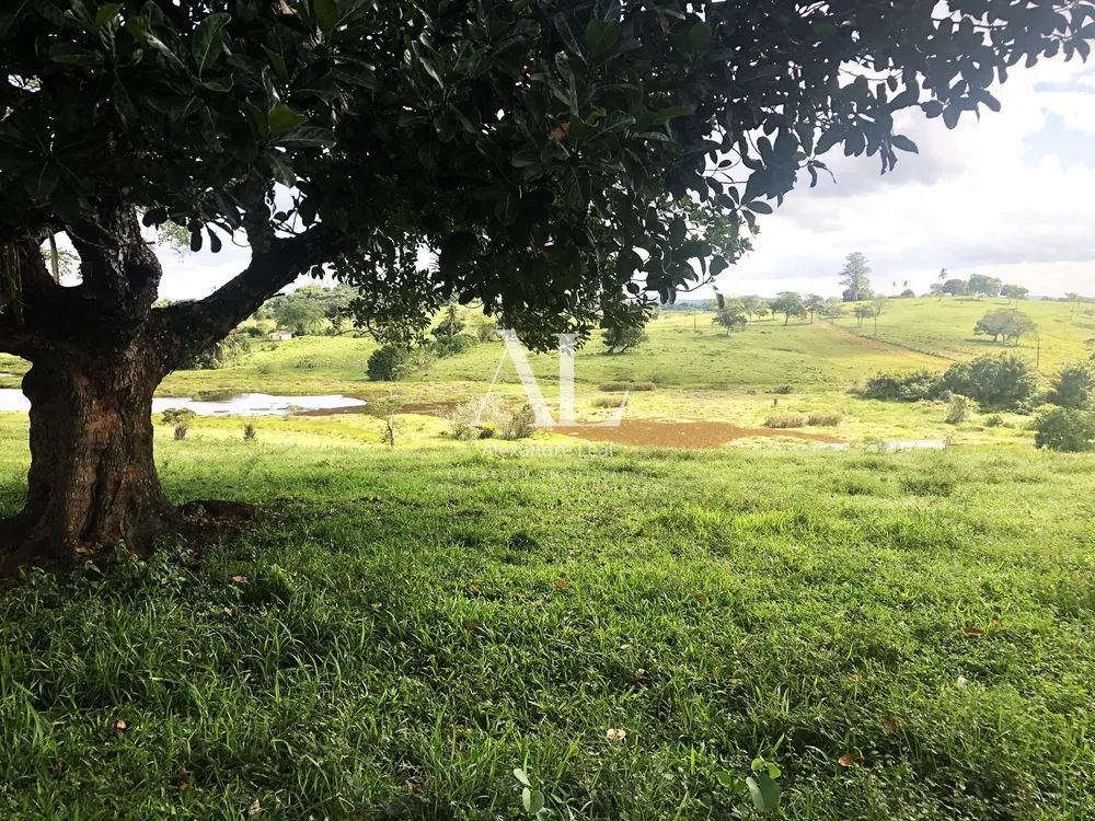 Fazenda - Foto 1