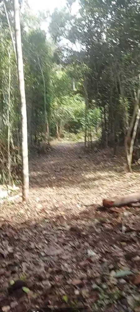 Terreno, 6 hectares - Foto 1