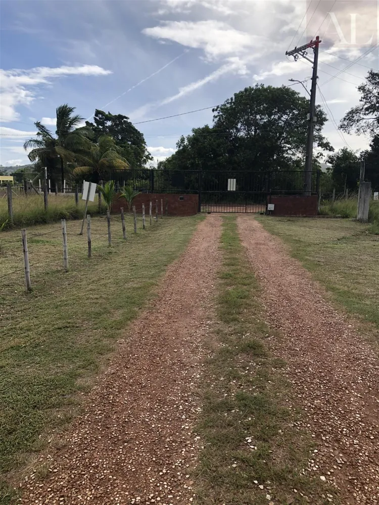 Terreno - Foto 4
