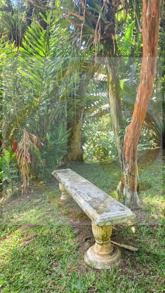 Chácara, 3 quartos, 5000 m² - Foto 29