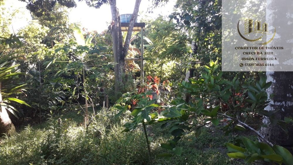 Terreno, 300 m² - Foto 2