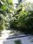Terreno, 300 m² - Foto 3