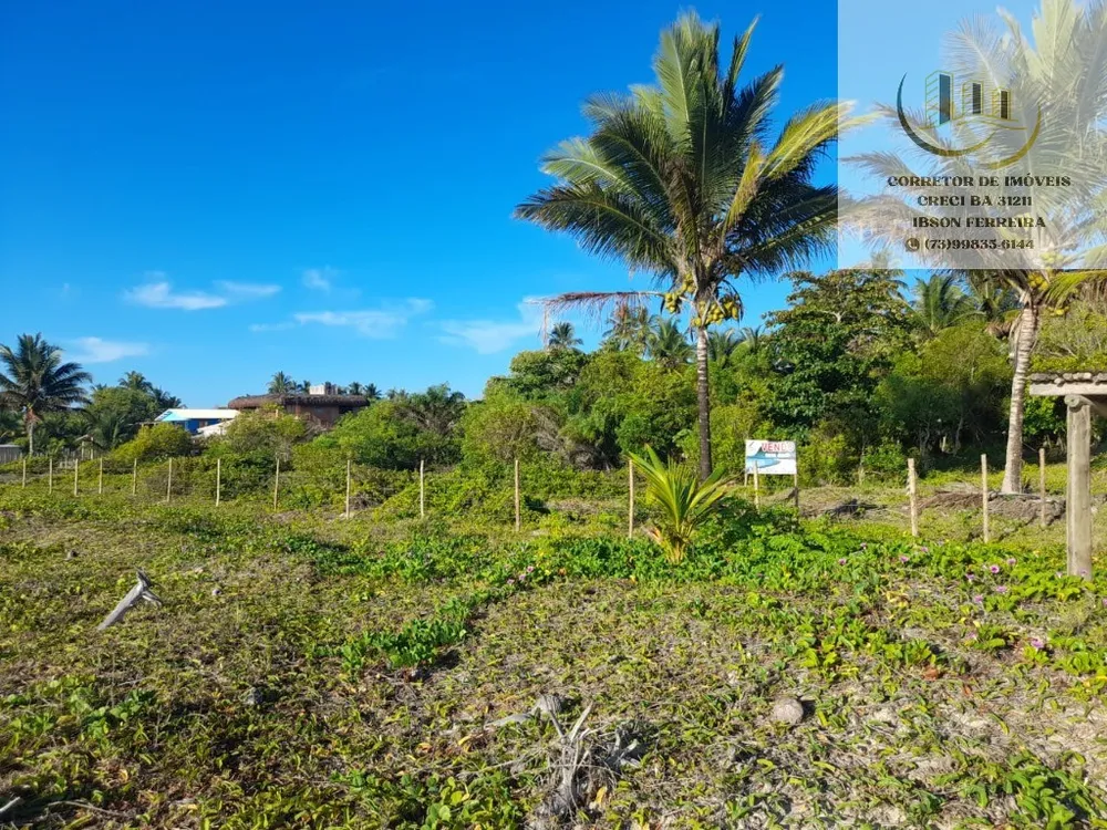 Terreno, 3 hectares - Foto 4