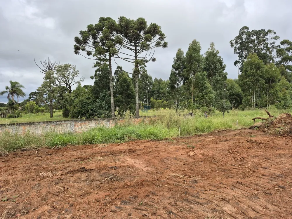 Terreno, 2 hectares - Foto 1