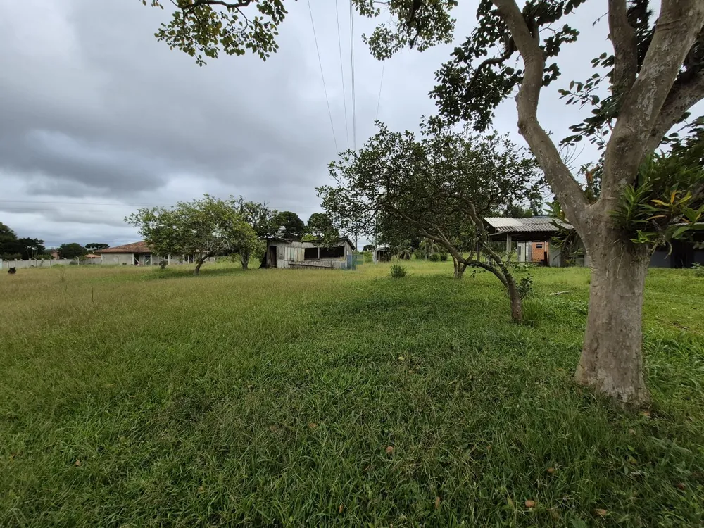 Terreno, 2 hectares - Foto 7