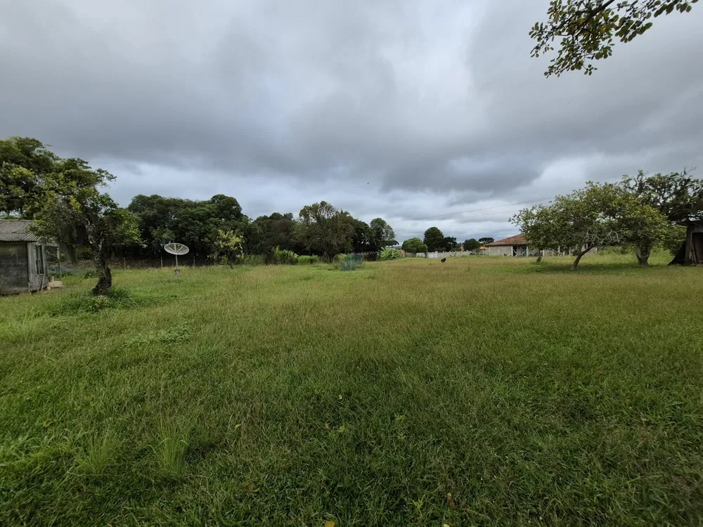 Terreno, 2 hectares - Foto 6
