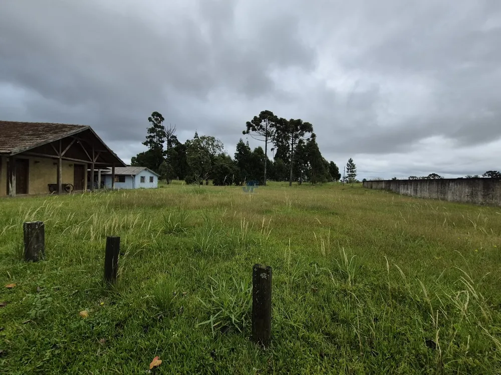 Terreno, 2 hectares - Foto 11