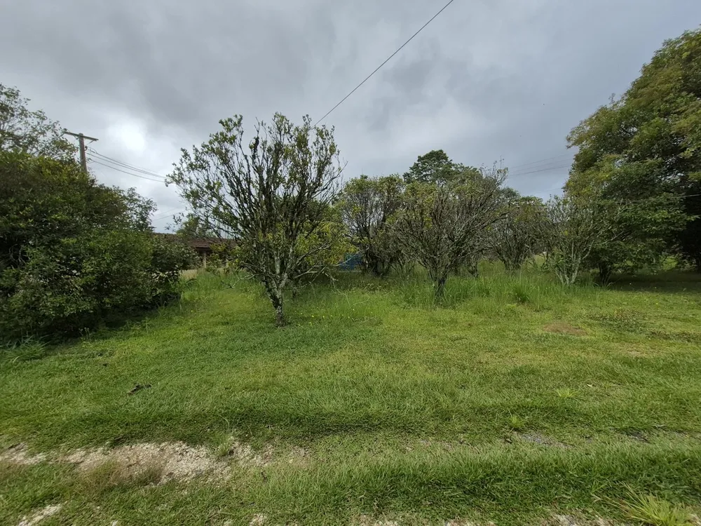 Terreno, 2 hectares - Foto 10