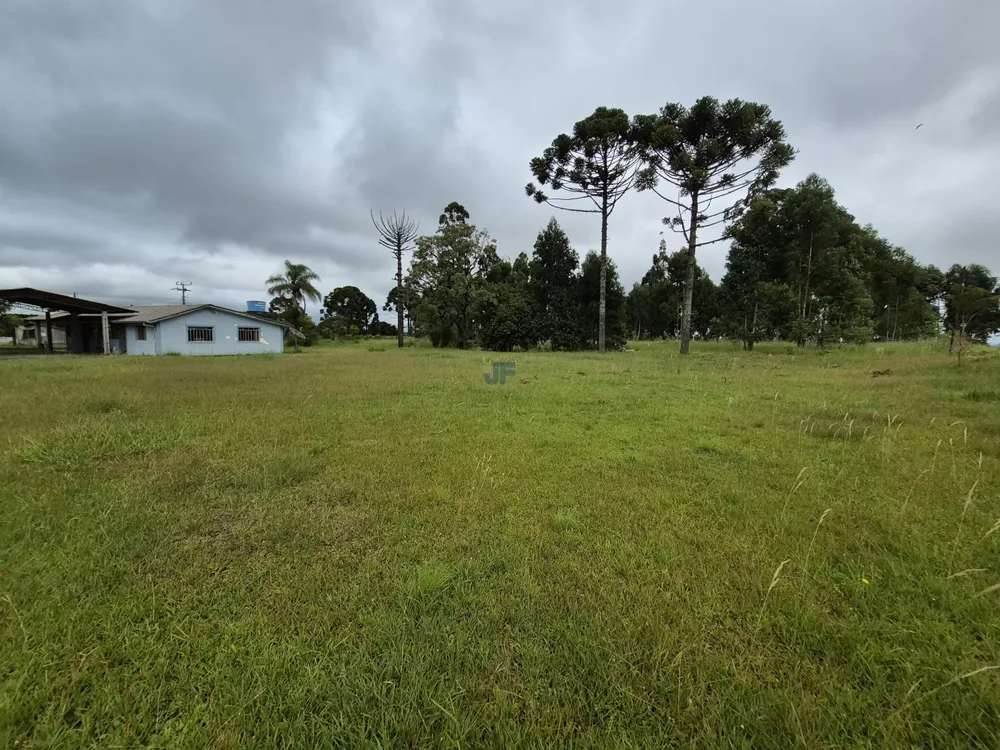 Terreno, 2 hectares - Foto 4