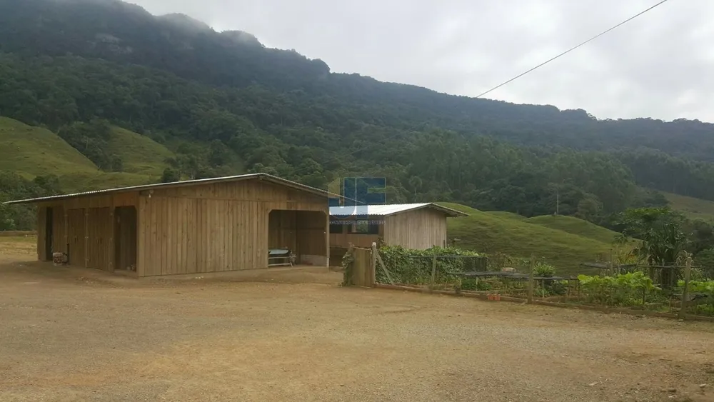 Sítio, 4 quartos, 785 m² - Foto 3