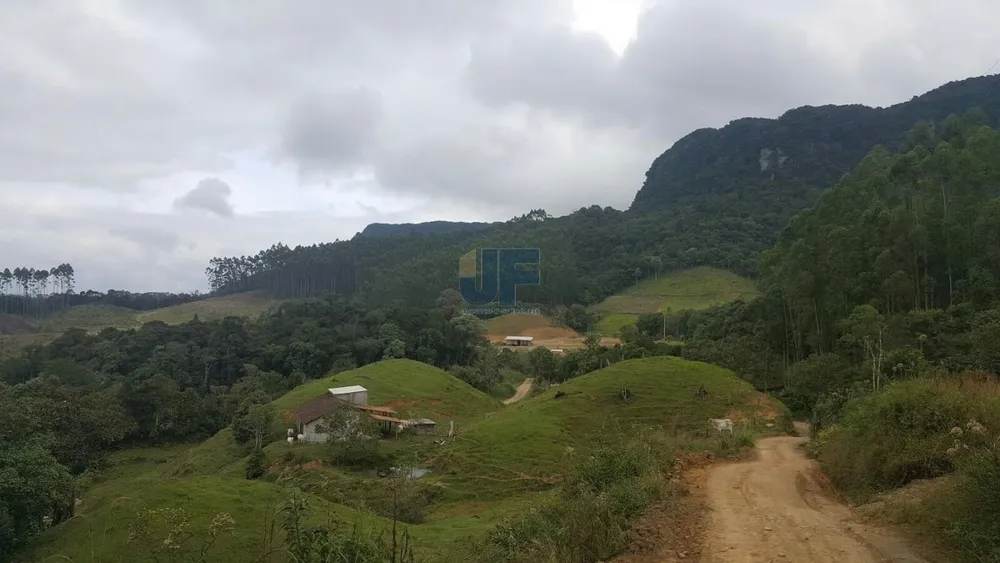 Sítio, 4 quartos, 785 m² - Foto 1