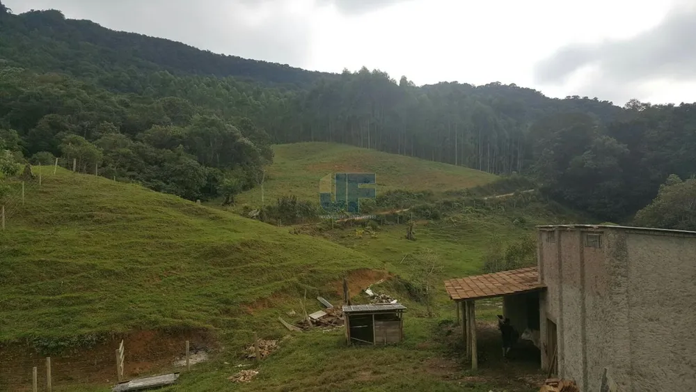 Sítio, 4 quartos, 785 m² - Foto 7