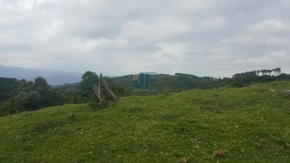 Sítio, 4 quartos, 785 m² - Foto 8