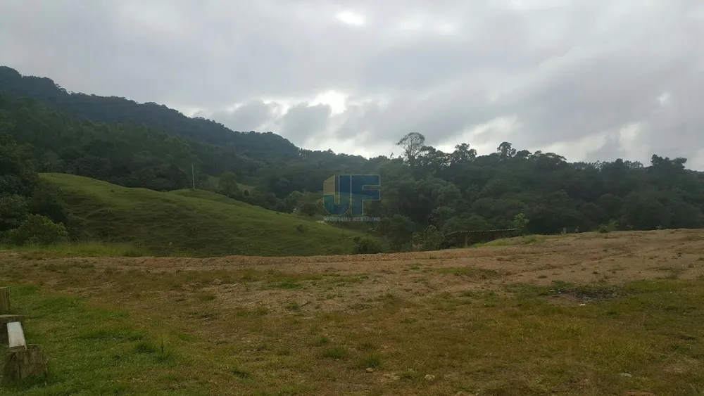 Sítio, 4 quartos, 785 m² - Foto 4