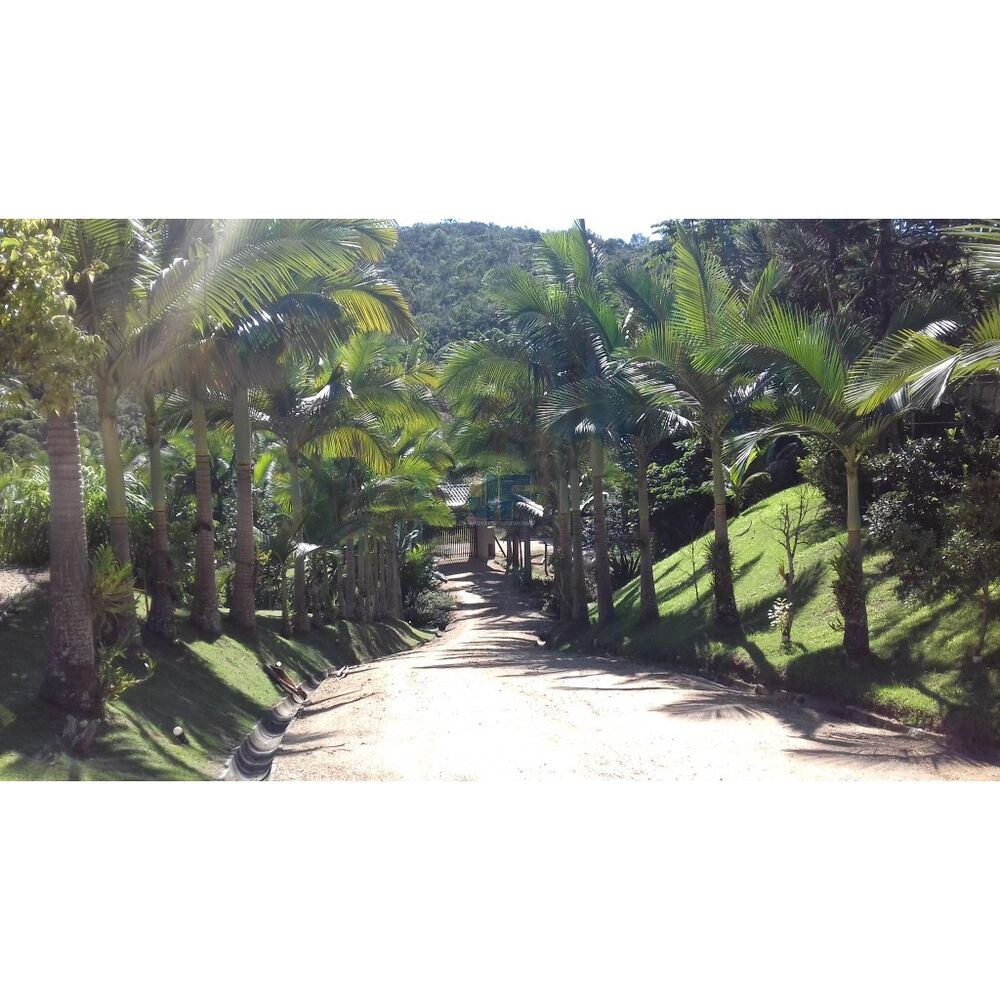 Sítio à venda com 4 quartos, 89000m² - Foto 6