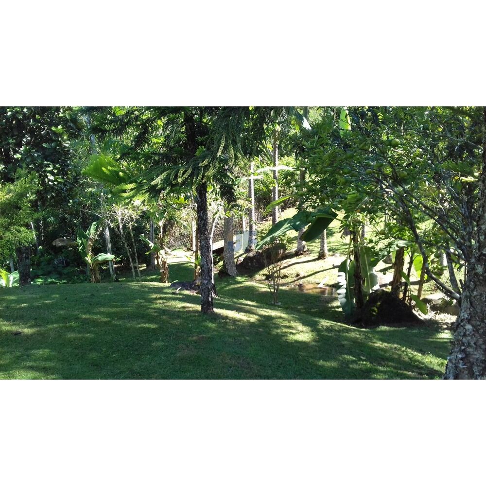 Sítio à venda com 4 quartos, 89000m² - Foto 20