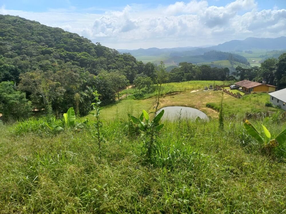 Sítio, 3 quartos, 4 hectares - Foto 1