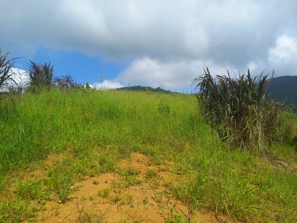 Sítio, 3 quartos, 4 hectares - Foto 4