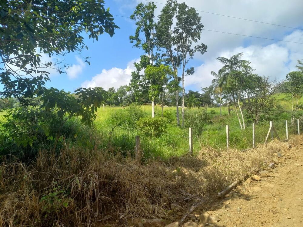 Sítio, 3 quartos, 4 hectares - Foto 10