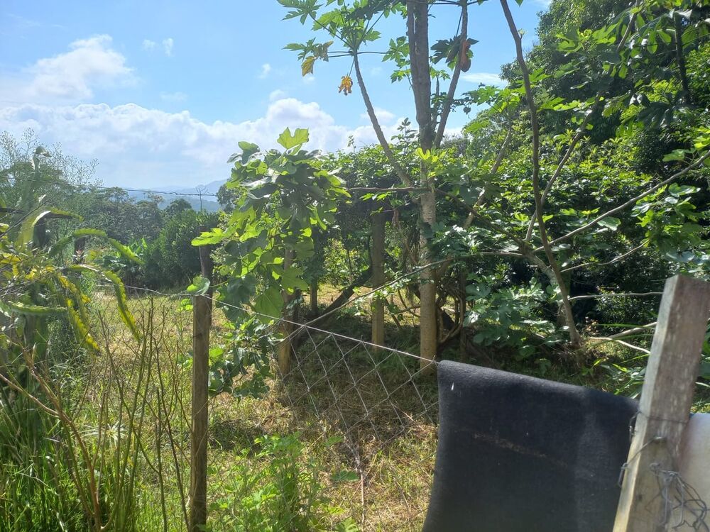 Sítio, 3 quartos, 4 hectares - Foto 7