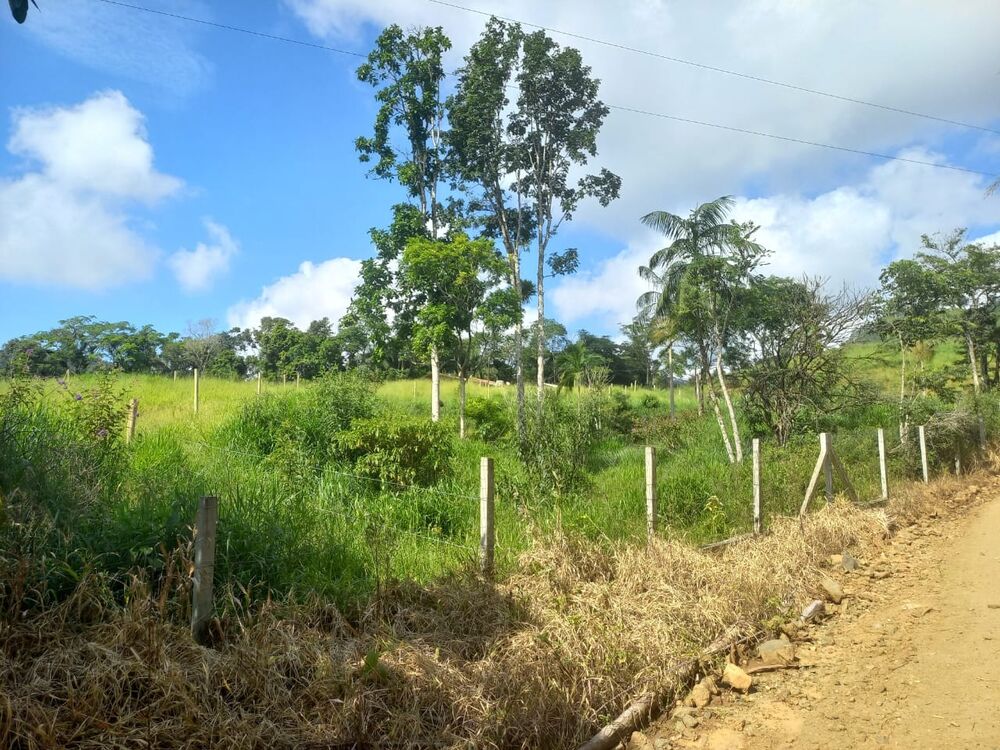 Sítio, 3 quartos, 4 hectares - Foto 9