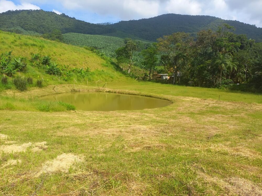 Sítio, 3 quartos, 4 hectares - Foto 12