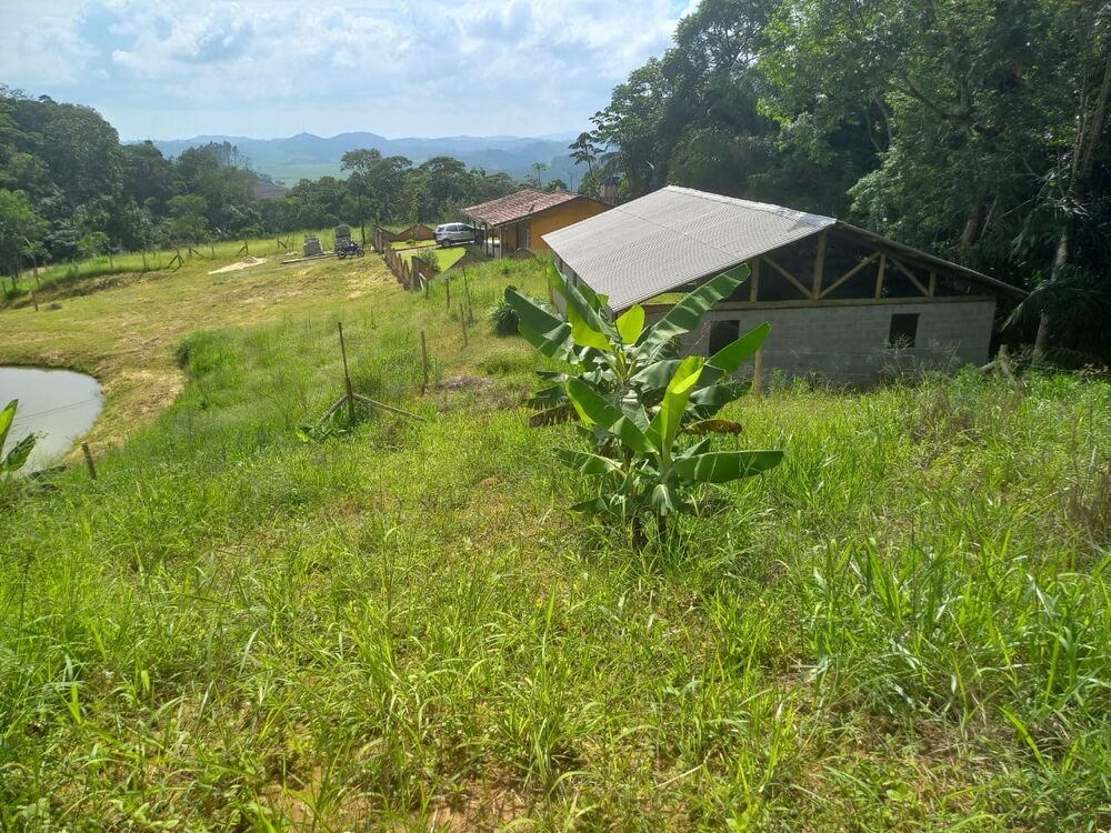 Sítio, 3 quartos, 4 hectares - Foto 2