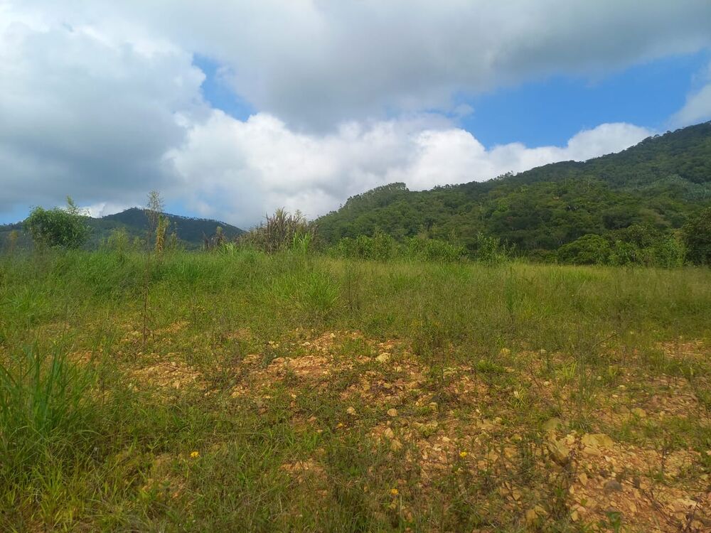 Sítio, 3 quartos, 4 hectares - Foto 13